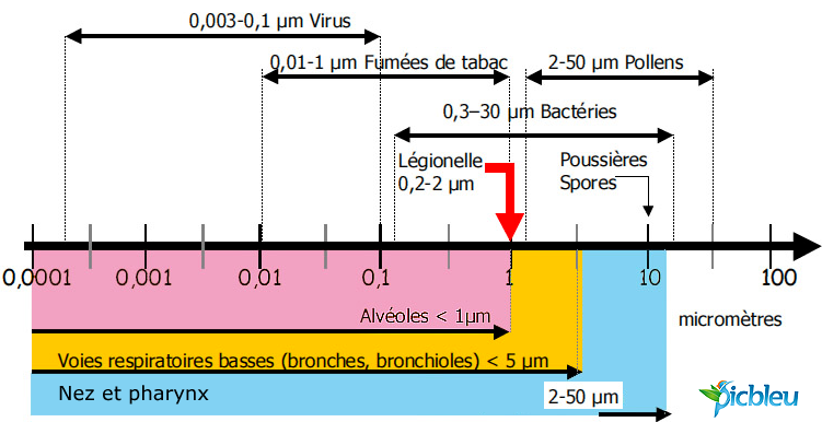 Diamètre-des-différents-polluants-de-l 'habitat