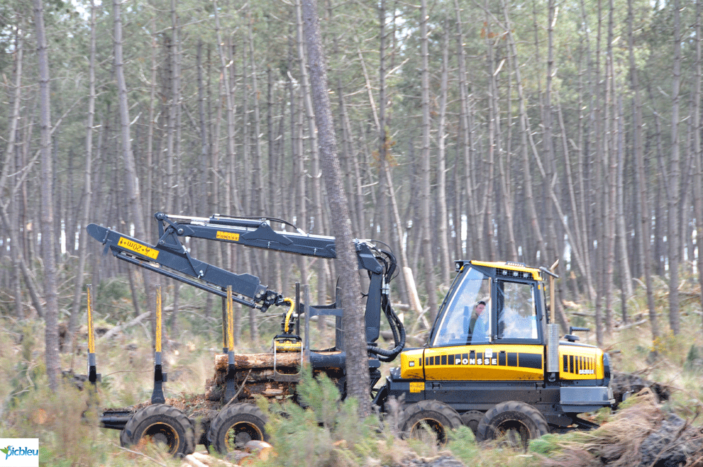 engin-motorisé-8-roues-motrices-tronçonnage-coupe-abattage-arbres-forêt