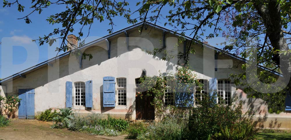 maison-ancienne-murs-chaux-renovation