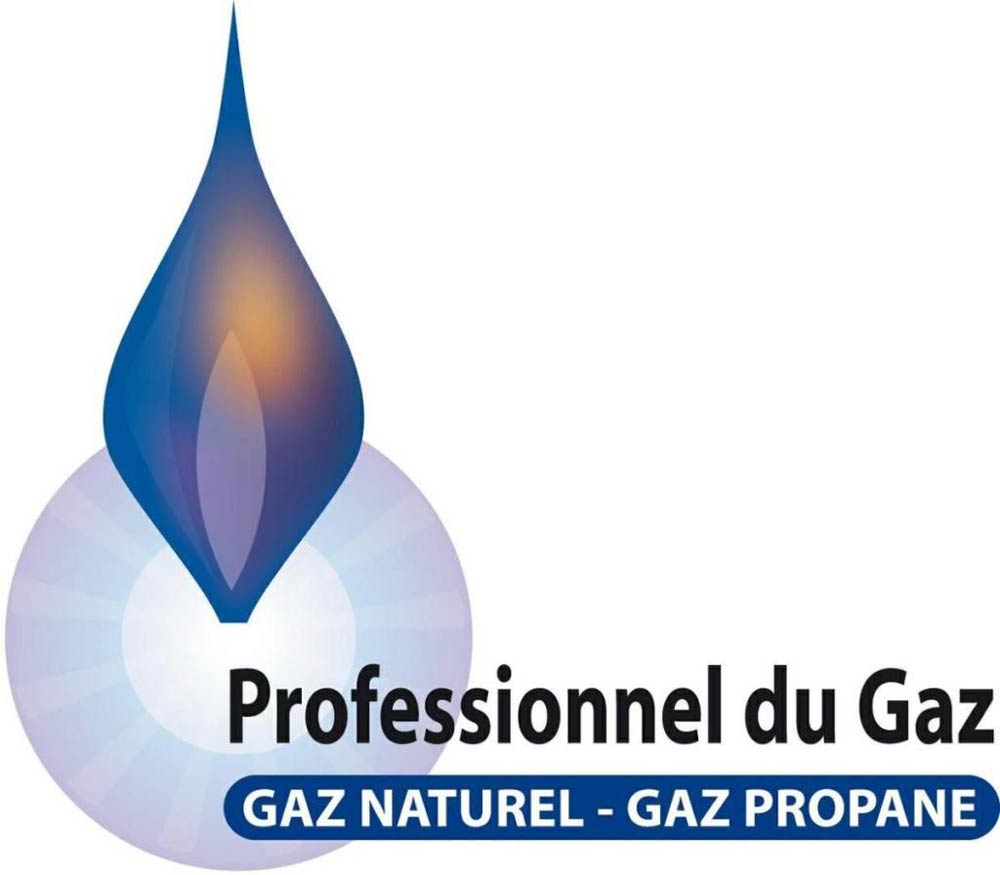 PGP-Professionnels-gaz-Qualigaz-Documentation-Picbleu.jpg