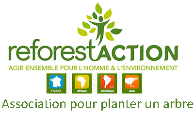 Reforestaction-association-pour-planter-des-arbres
